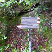 wanderweg nr duererweg von buchholz zum sauchpass wegweiser