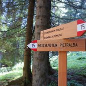 wanderung aldein weissenstein wegweiser wald almen