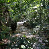 gaulschlucht falschauer