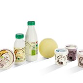 Milchprodukte Davids Goashof 