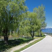 radweg etschdamm bei andrian