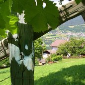Buchnerhof