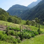 Buchnerhof