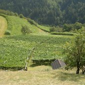 Buchnerhof