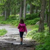 antholzer see steinzger alm person