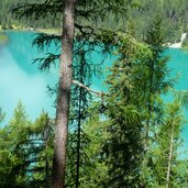 antholzer see steinzger alm