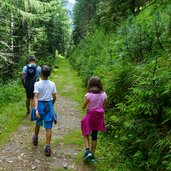 antholzer see steinzger alm person