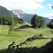 Reschen Wiesen Waelder Berg Quelle Etsch