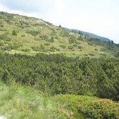 Rittner Horn Panorama Weg Alm RD P