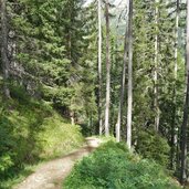 weg nr zur kasseler huette bei rein in taufers