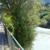 radweg am eisack bei brixen sued