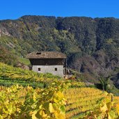 weinberge terlan moelten strasse