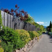 radweg bei st michael eppan