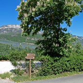 radweg kaltern ueberetscher spazierweg