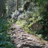 weg nr zur kasseler huette