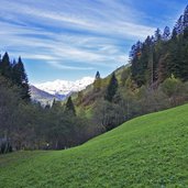 wiesen am weg nr bei walten