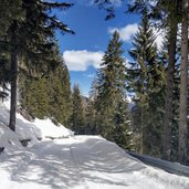 stilfserjoch strasse winter rodelweg