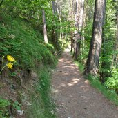 waldweg trimmdich