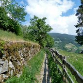 weg durch wiesen nach kirchen