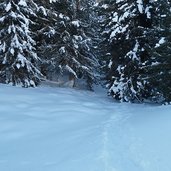 jochgrimm weg in den wald nach kugeljoch