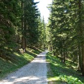 waldweg bei schoenrast