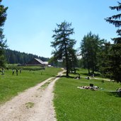 schoenrast belriposo almwiesen