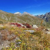 herbst farben heidelandschaft am peachenjoechl