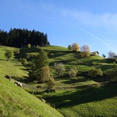 herbstwiesen bei glaiten