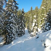 weg kugelalm isi huette winter schnee baeume