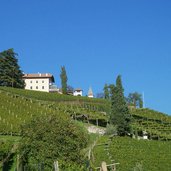 weinberge bei tramin kastelaz