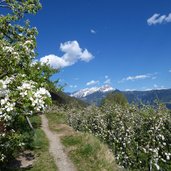 partschinser waalweg abschnitt