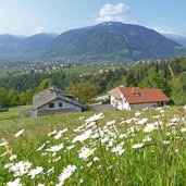 wiese oberhalb von kuens