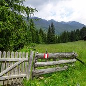 Gsieser Tal Eichhoernchenweg