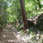 weg a zum oberen wasserfall