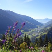 passeiertal herbst von glaiten aus gesehen