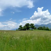 wiesen bei barbian