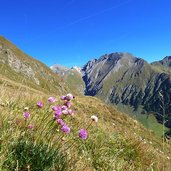 alpine herbstlandschaft vals und bluehender lauch