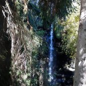 wald am weg zwischen glaiten und stuls wasserfall