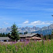 auerleger alm malgaora rosengarten catinaccio