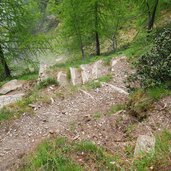 weg von mastaunalm auf mastaunpichl