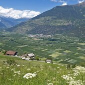 parnetz hoefe und blick auf vinschgau