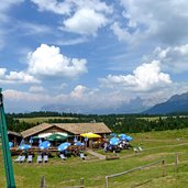 malga varena alm