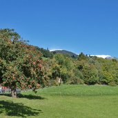 wiesen bei moar zu viersch hof