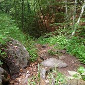 schelmsteig in die schlucht