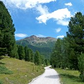 aldein ort radein forstweg nach jochgrimm gurndin alm