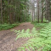 steinegg obergummer sternenweg planetenweg