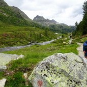 Staller Alm Obersee Personen