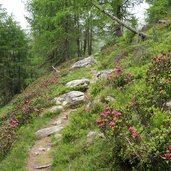 weg von mastaunpichl zu lafetz alm