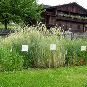 volkskundemuseum dietenheim