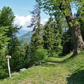 leiferer hoehenweg breitenberg